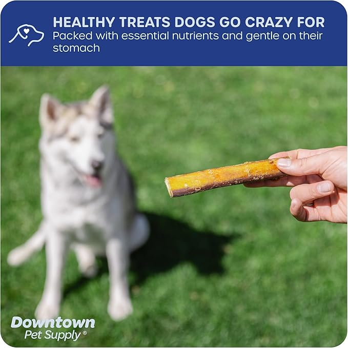 Downtown Pet Supply USA-Made 6", 8 Oz. Jumbo Bully Sticks for Large Dogs - Rawhide Free Dog Chews Long Lasting and Non-Splintering - Single Ingredient, Low Odor Bully Sticks for Medium Dogs