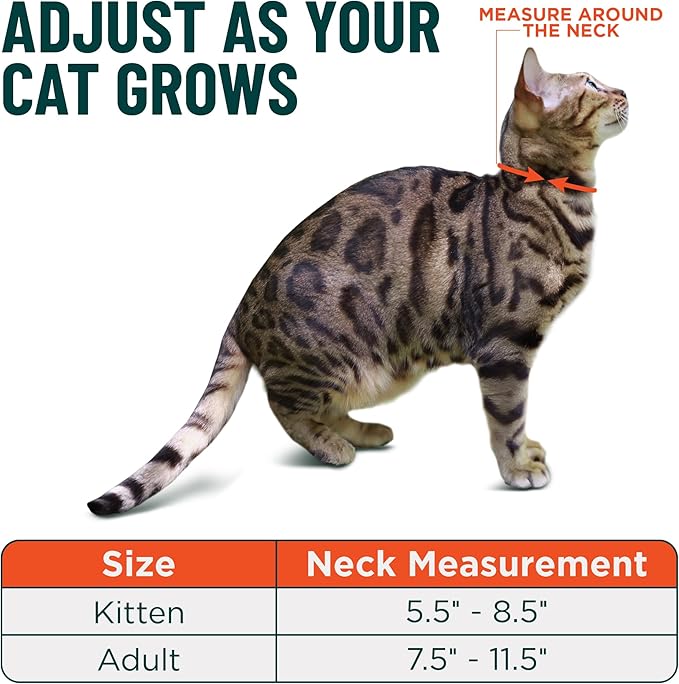 OutdoorBengal Pink Cat Collar Breakaway with Soft Padding for Medium to Large Cats - Durable Heavy Duty Tactical Fabric, Comfortable, Quick Release Breakaway Cat Collars, No Bell Collar (Pink, Adult)