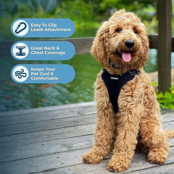 Best Pet Supplies Voyager Mesh Dog Breathable Harness Reflective Stitching, All Weather Adjustable for Walking Training, or Running - Heavy Duty & Durable, Harness (Black), S