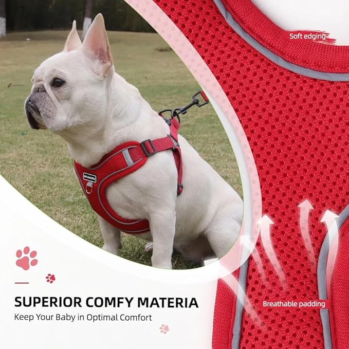 Dog Harness and Leash Set, Adjustable Triangle, Reflective Adjustable Puppy Vest, No Pull Soft Mesh Harness for Small, Medium Dogs, Cats (Red, S)