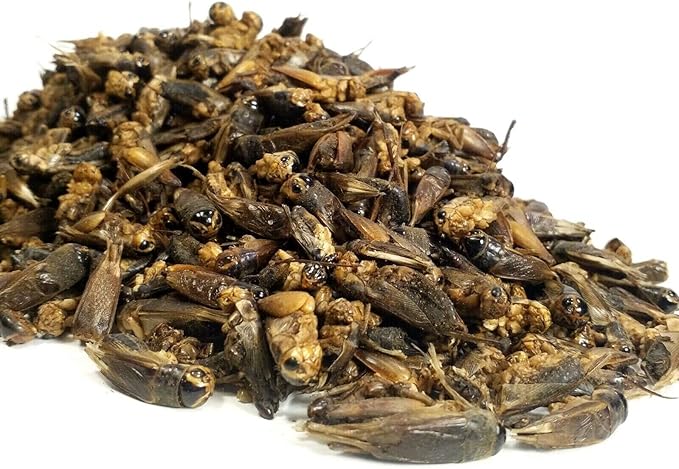Aquatic Foods Inc. Crickets - Freeze Dried Crickets for Tropical Fish, Reptiles, Turtles, Tortoises Frogs, Hamsters, Birds, Rodents…1-lb Lg Jar