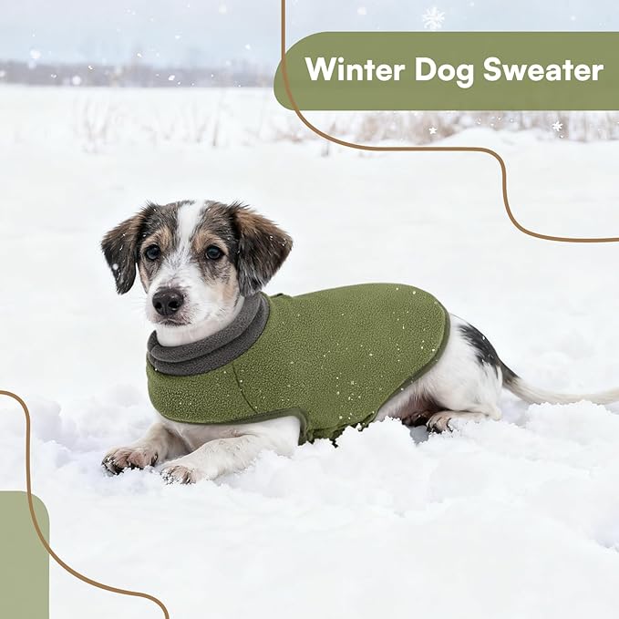 Queenmore Dog Sweater,Soft Fleece Vest Pullover Dogs Jacket with Elastic Stretchable,Warm Winter Dog Coats Cold Weather Doggy Dachshund Sweaters for Small Dogs Cats Boy or Girl (Green, XS)