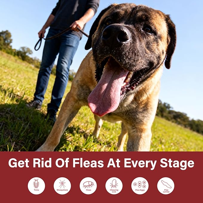Flea and tick Prevention for Dogs - Suitable for Dogs Weighing 89 to 132 pounds-Nutritional Supplements.