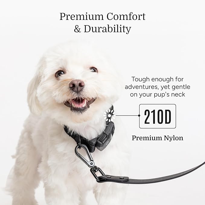 2025 New Edition, Fei & Eve MagEase Dog Collar - Patented Magnetic Buckles | Fur-Safe | Premium 210D Nylon | 450LB Escape-Proof | Adjustable Fit | Small (Black)
