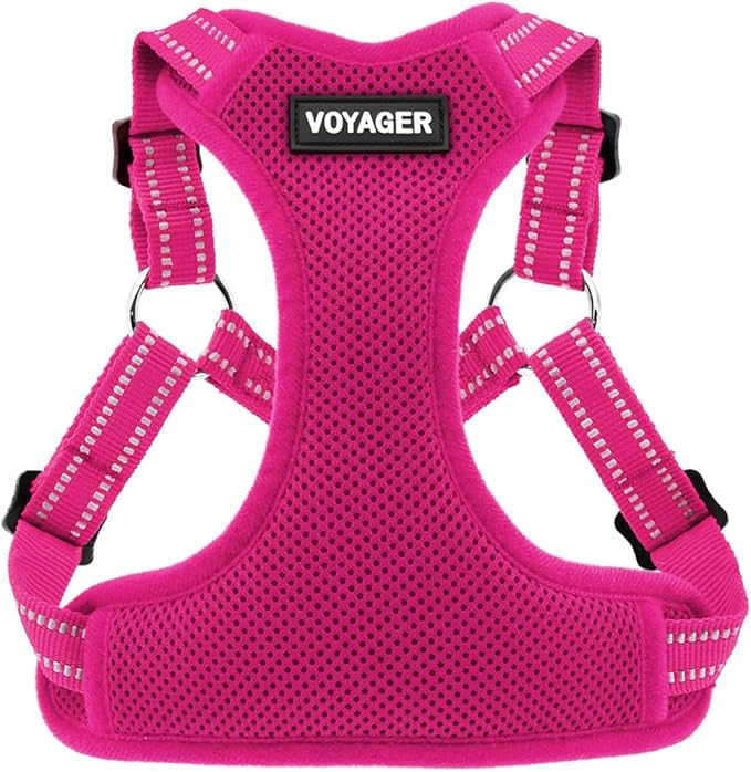 Best Pet Supplies Voyager Mesh Dog Breathable Harness Reflective Stitching, All Weather Adjustable for Walking Training, or Running - Heavy Duty & Durable, Harness (Fuchsia), M