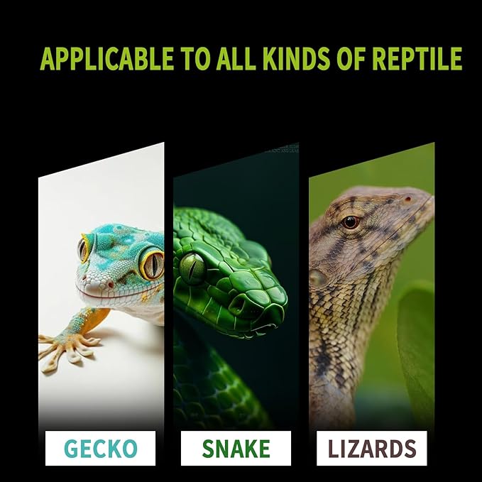 16 Grids Reptile Breeding Box, Professional Reptile Egg Incubation Box for Breeding and Hatching