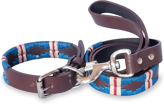 Gaucho Goods Big Dog Leather Collar - The Pacific (XL)