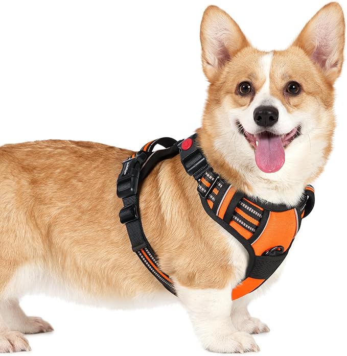 rabbitgoo Dog Harness Small Sized, No Pull Pet Harness with 3 Buckles, Adjustable Soft Padded Vest with Control Handle, Walking Reflective Pet Vest for Small Dogs, Orange, S