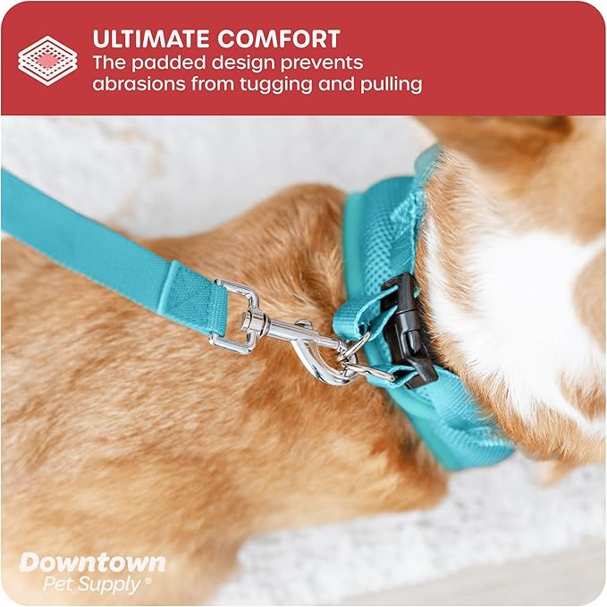 Downtown Pet Supply Step-in Dog Harness – No Pull, Adjustable Padded Mesh with Reflective Trim, Secure Buckle Strap – Comfortable & Breathable Small Dog Harness, Large, Light Blue