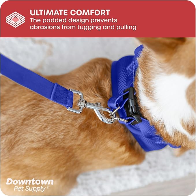 Downtown Pet Supply Step in Dog Harness for Small Dogs No Pull, X-Small, Blue - Adjustable Harness with Padded Mesh Fabric and Reflective Trim - Buckle Strap Harness for Dogs