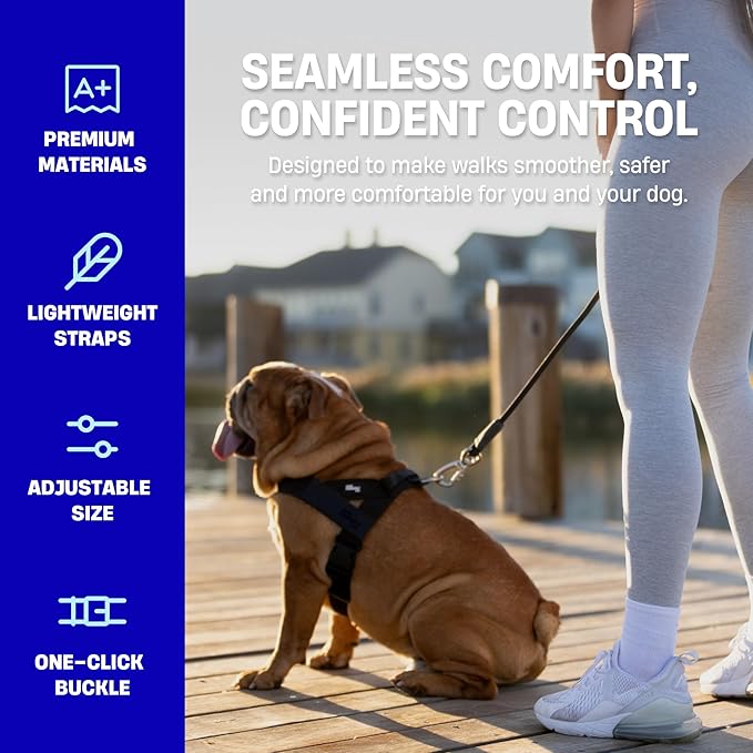 DF Co. Dog Harness | Chafe Resistant Webbing, Adjustable Neck & Chest, and Heavy Duty D-Ring | Sturdy, Comfortable, Easy to Use | Classic Blue, Size S