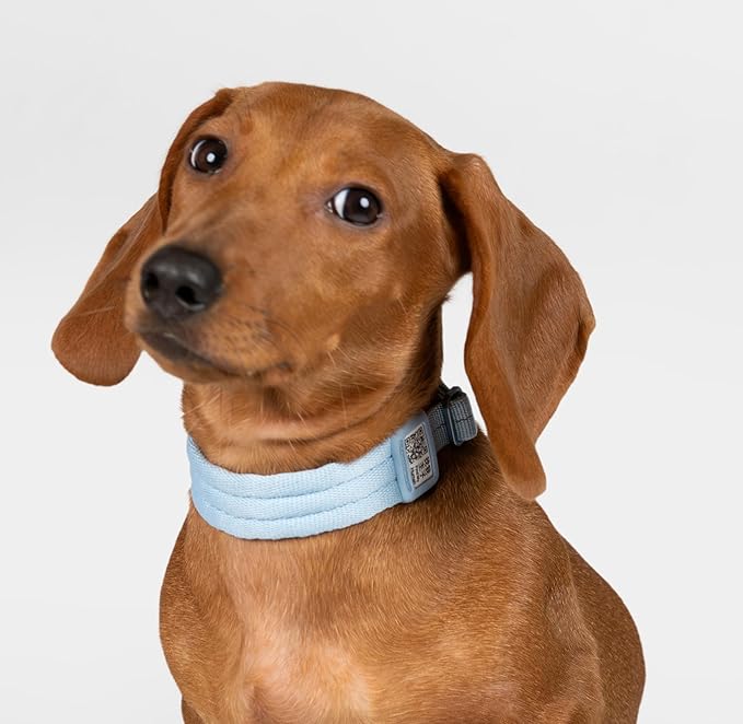 Ultra Comfort Dog Collar Soft Padded Adjustable Nylon Collar QR Code Anti-Lost Comfortable Cozy Dog Collar with Durable Aluminum Alloy Buckle for Small to Large Dogs (Sierra Blue, S)
