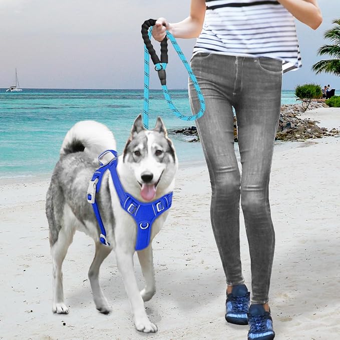 BARKBAY No Pull Dog Harness Large Reflective Dog Harness with Front Clip and Easy Control Handle for Walking Training Running with ID tag Pocket(Sapphire Blue,M)