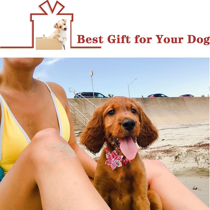 Unique style paws Dog Collar with Flower Tie Cotton Watermelon Collar Adjustable Summer Collar for Small Medium Large Dogs - XL