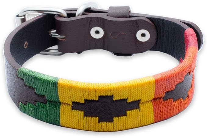 Leather Dog Collar in Orange by Gaucho Goods