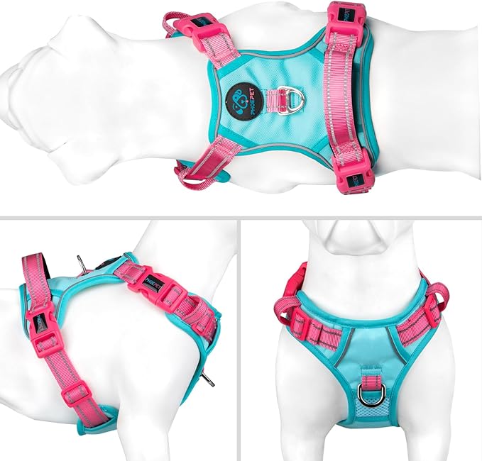 PHOEPET No Pull Dog Harness, Unique Colors Reflective Adjustable Dog Vest, with Soft Training Handle Metal Clips for Small Medium Large Dogs (Mint Green Base & Pink Straps,M)