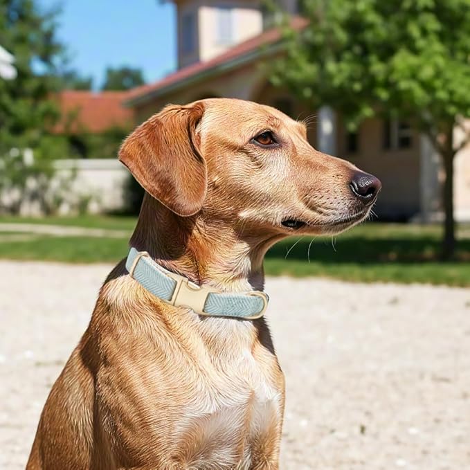 Soft Hemp Dog Collar and Leash Set Adjustable Woven Twilled Dog Collars with Metal Buckle and Lead for Small Medium Large Dogs,Blue
