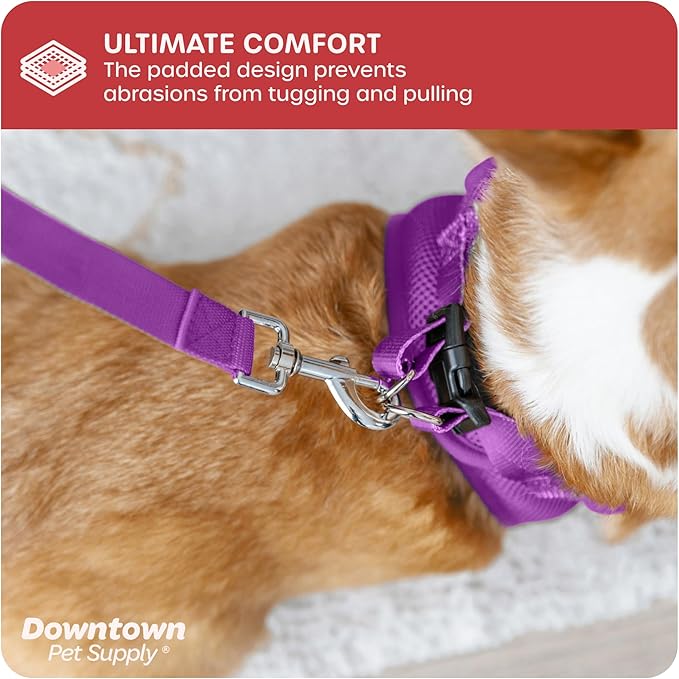 Downtown Pet Supply Step-in Dog Harness – No Pull, Adjustable Padded Mesh with Reflective Trim, Secure Buckle Strap – Comfortable & Breathable Small Dog Harness, Medium, Purple