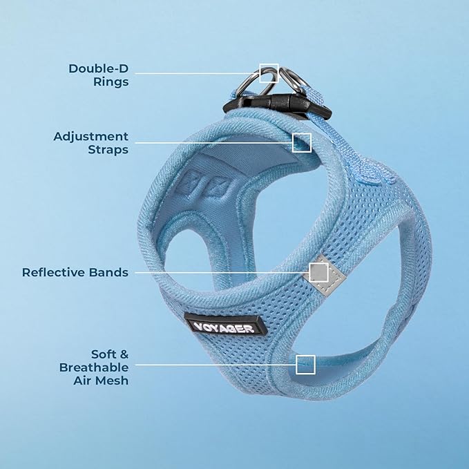 Best Pet Supplies Voyager Step-in Air Harness - All Weather Mesh, Reflective, No Pull Harness for Dogs, Cats - Secure with Hook & Loop Fastener, Buckle, Double D-Rings - Baby Blue, M