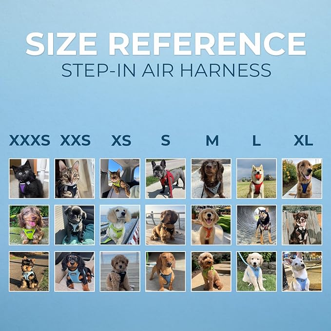 Best Pet Supplies Voyager Step-in Air Harness - All Weather Mesh, Reflective, No Pull Harness for Dogs, Cats - Secure with Hook & Loop Fastener, Buckle, Double D-Rings - Baby Blue, L