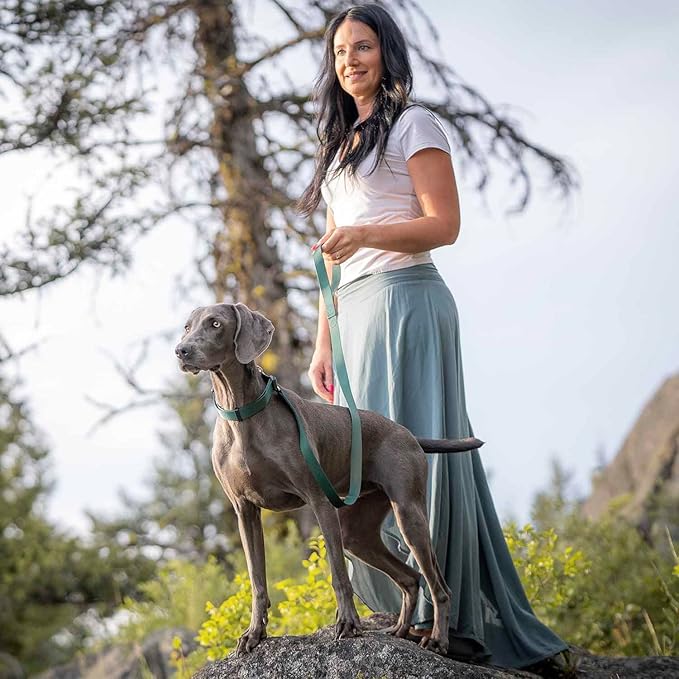 Blueberry Pet Essentials Matching Dog Collar and Leash Set in Verdant Green, Adjustable Classic Solid Color Nylon Collar with 5 ft Leash for Medium Dogs