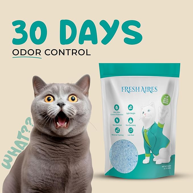 Silica Crystal Cat Litter | Unscented, Lightweight, Non-Clumping, Low Dust & Tracking, Long-Lasting Odor Control Cat Litter for Cats and Kittens | 6 Lb Bag of Crystal Litter