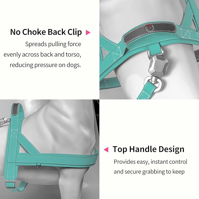 Magnetic Quick-Release Buckle Dog Harness and Leash Set, Easy Walk Faux Leather Puppy Harness, Easy On & Off Dog Vest with Handle for Medium, Large Girl Boy Dogs for Hiking Training, Teal, XL