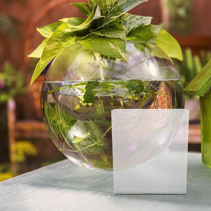 Kisangel Portable Transparent Fish Viewing Box 4.92X4.33X1.5In Lightweight Betta Fish Breeding Container for Aquarium Desktop Observation