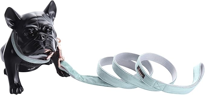 ARING PET Dog Collar and Leash, Velvet Dog Collar and Leash Set, Soft & Comfy, Adjustable Collars for Dogs