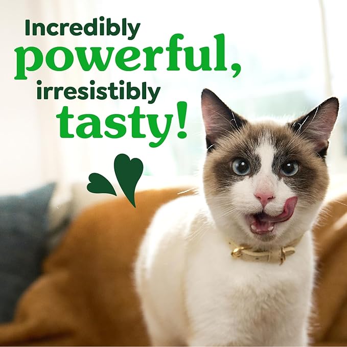 Greenies Feline Veterinarian-Recommended Adult Natural Dental Cat Treats, Catnip Flavor, 9.75 oz. Tub