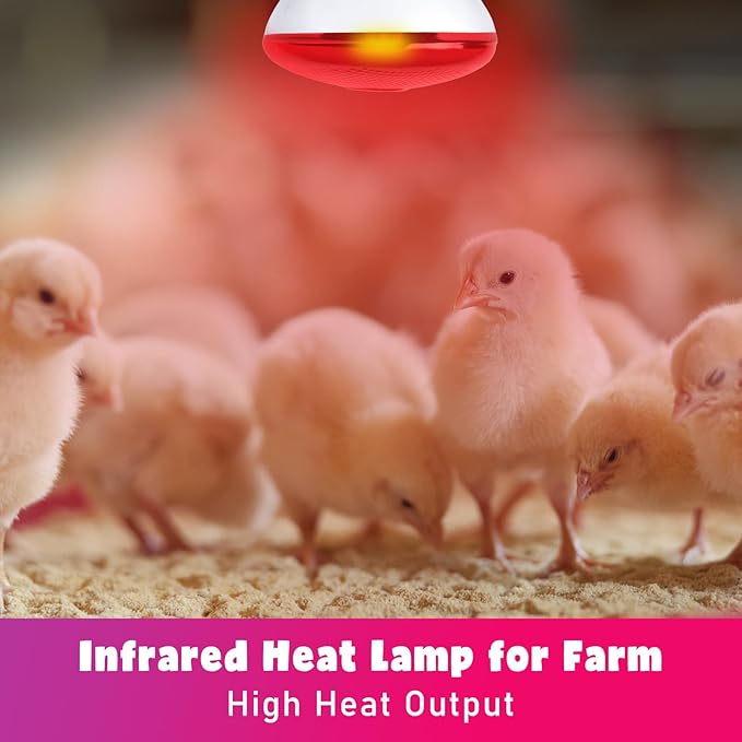 LUCKY HERP Infrared Heat Lamp for Chickens, 250 Watt Red Heat Lamp Bulb, 2 Pack Heat Light Bulb, Brooder Heat Lamp for Chicks Coop, Reptiles, Amphibian, Pet, Food Service