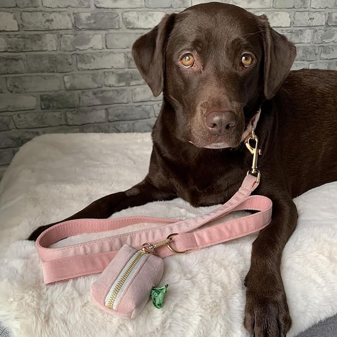 PETDURO Custom Dog Collar Personalized with Name Engraved Quick Release Rose Gold Metal Buckle for Large Medium Small Girl Dogs - Dog Leash and Bow Tie Available - Soft Comfy Velvet (Pink, S)