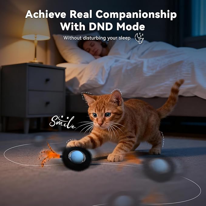 Interactive Cat Toy with Motion Activated Ball & 7-Hole Play Mat, Hide and Seek Exercise Game for Indoor Cats, Automatic Moving Cat Ball in Pouch, Rechargeable Kitten Toys