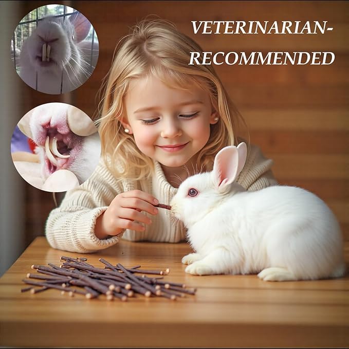 Rabbit Toys 285g/10oz 4 in 1 Bunny Chew Treats for Grinding Teeth Guinea Pig Biting Toy Hamster Molar Food Timothy Sticks Sweet Bamboo Apple Branch Dental Snacks for Small Animals Rodent