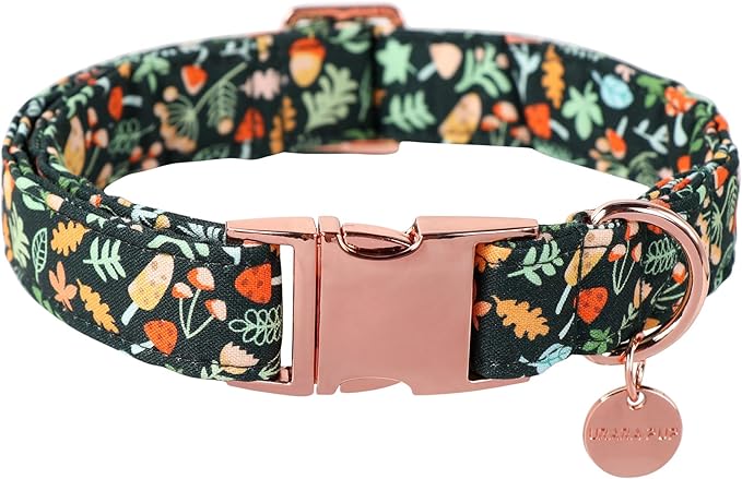 Daisy Fall Cotton Dog Collar with Metal Buckle Gift Autumn Collar for Small Medium Large Girls or Boys Dogs Cute Durable Comfortable Pet Collars