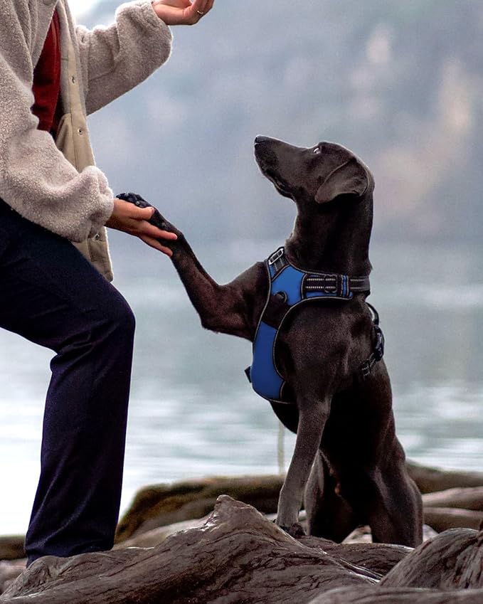Joytale No Pull Dog Harness for Extra Large Dogs, Reflective Pet Vest with Front Clip, Adjustable Soft Padded Harnesses with Easy Control Handle for Training and Walking, Navy Blue, XL