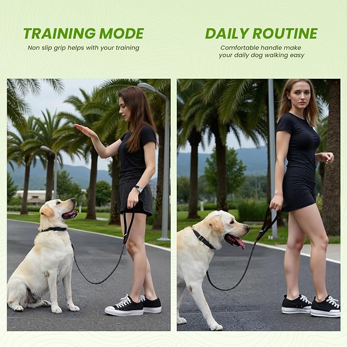 Heavy Duty Dog Adjustable Breathable Nylon Collar for Medium to Large Breeds Dogs with Control Handle Quick Release Metal Buckle Soft Neoprene Padded & Reflective Stitching