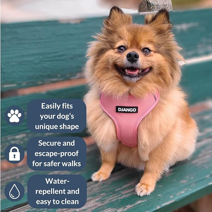 DJANGO Adventure Dog Harness - Stylish, and Durable Medium Dog Harness for Outdoor Adventures and Everyday Wear - Quartz Pink Neoprene Adjustable Harness for Dogs with Reflective Piping, Brass D-Ring