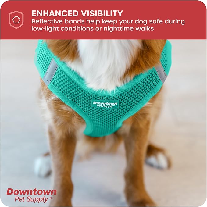 Downtown Pet Supply Step in Dog Harness for Teacup Dogs & Cats No Pull, XX-Small, Bermuda Blue - Adjustable Harness with Padded Mesh Fabric and Reflective Trim - Buckle Strap Harness for Dogs