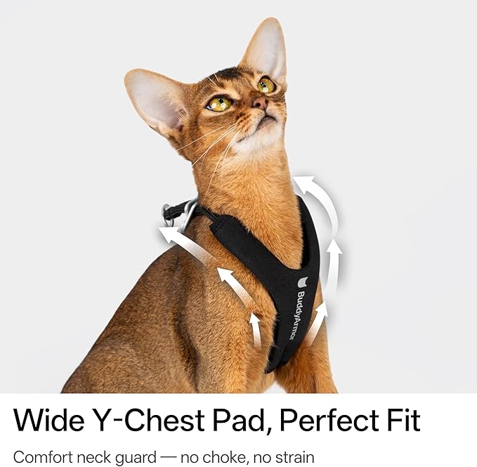 Escape Proof Y Shape Cat Harness Anti-Choke Buckle Adjustable Comfortable Padded Cat Vest Harness Anti Escape Cat Rope Harness for Kitten Small Medium Large Cats (Black, S)