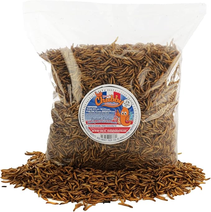 Chubby Dried Mealworms | 6 lbs | Premium EU-Grown Non-GMO Protein Treats for Chickens, Ducks, Wild Birds & Reptiles – High-Protein Chicken Feed Snack for Laying Hens