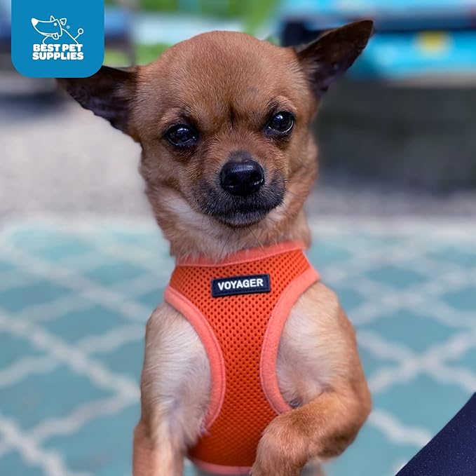 Best Pet Supplies Voyager Step-in Air Harness - All Weather Mesh, Reflective, No Pull Harness for Dogs, Cats - Secure with Hook & Loop Fastener, Buckle, Double D-Rings - Orange, M
