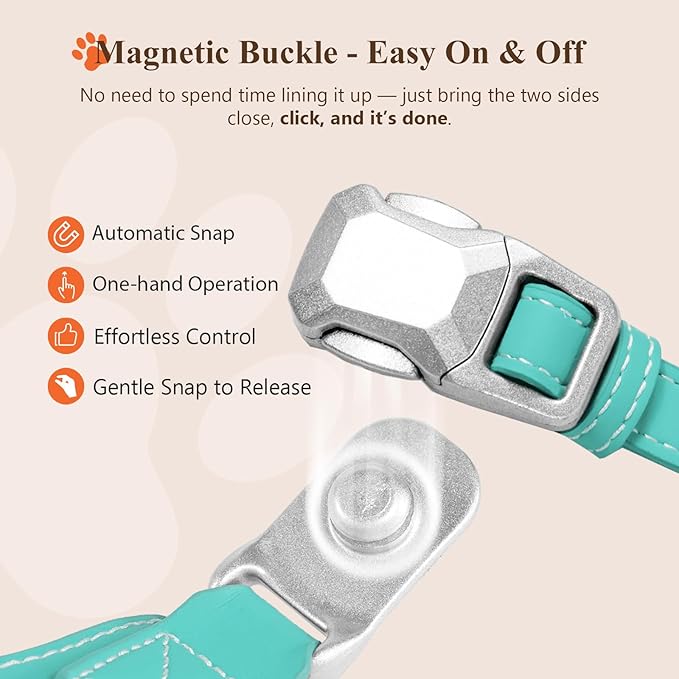 Magnetic Quick-Release Buckle Dog Harness and Leash Set, Easy Walk Faux Leather Puppy Harness and Leash, Easy On & Off Dog Vest for Small, Medium, Large Girl Boy Dogs for Training, Teal,L