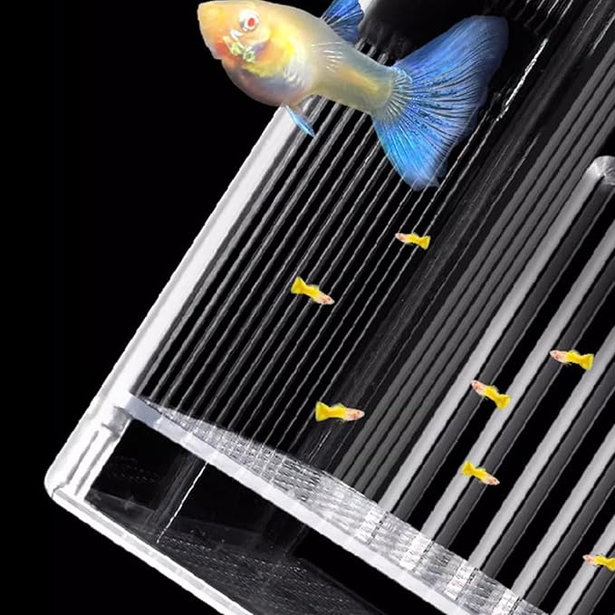 Breeder Incubator,Breeding Tanks for Aquarium Small Fish Isolation Box Hatchery Box for Clear Fish Spawning Box