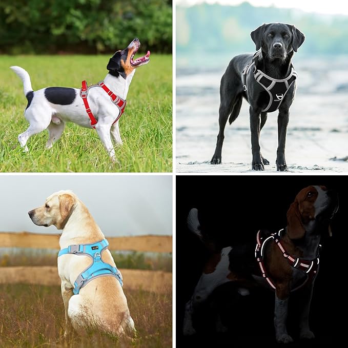 Plutus Pet No Pull Dog Harness, Release at Neck, Reflective Adjustable Dog Vest Harness, Easy Control Handle for Walking, for Small Medium Large Dogs, Red, S