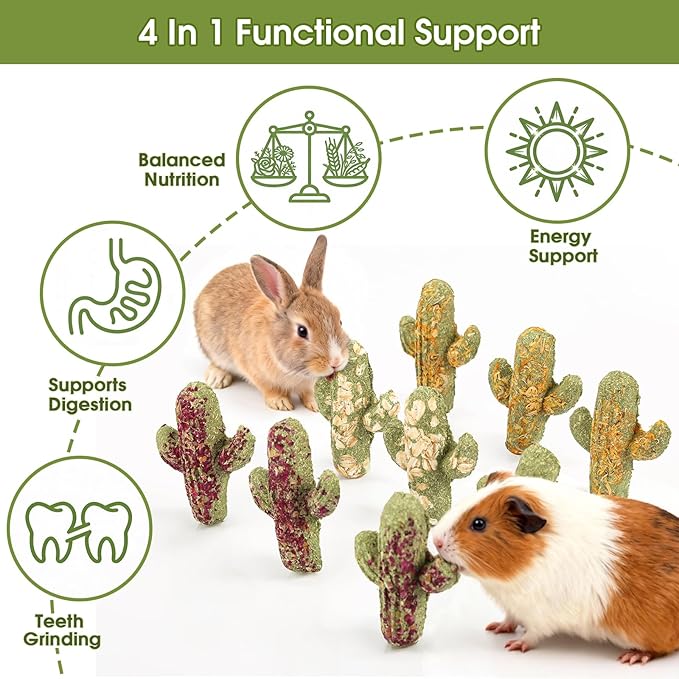 Abizoo Rabbit Chew Toys Natural Timothy Hay Oat Bunny Treats Snack Bunny Chew Sticks 9 Pcs Compressed Cactus Bunnies Enrichment Toys for Rabbit Guinea Pig Hamster Chinchilla Gerbil Dental Care