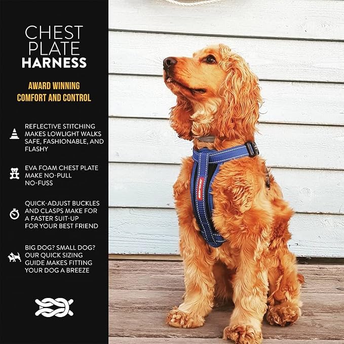 EzyDog Chest Plate No Pull Dog Harness – Escape Proof Harness with Reflective Stitching and Comfort Padding for Easy Walks, Training & Control - Car Restraint Included (Large, Pink)