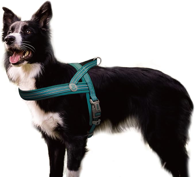 DOCO No-Pull Dog Harness for Medium Sized Dog, Halter Reflective Easy-Control Harness for Training, Walking, and Preventing Pulling, Breathable Design - Turquoise