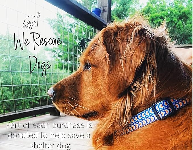 Lucky Love Dog Leash – Soft, Durable, and Comfortable Leash with Vibrant Patterns – Stylish and Long Lasting for Large Male and Female Dogs – Murphy, Large