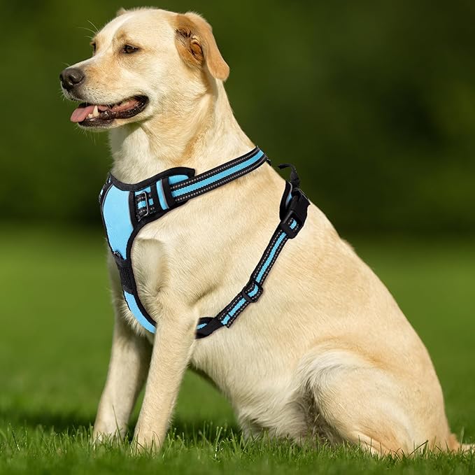 Blue No-Pull Dog Harness with 2 Leash Clips，Soft Padded Vest for Small Dog, Adjustable Reflective Dog Vest Easy to Put on and Take Off,(Neck: 13"~17", Chest: 17"~21",Blue Small)